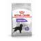Royal Canin Maxi Sterilised Adult – Hrană Uscată pentru Câini de Talie Mare Sterilizați – 12 kg